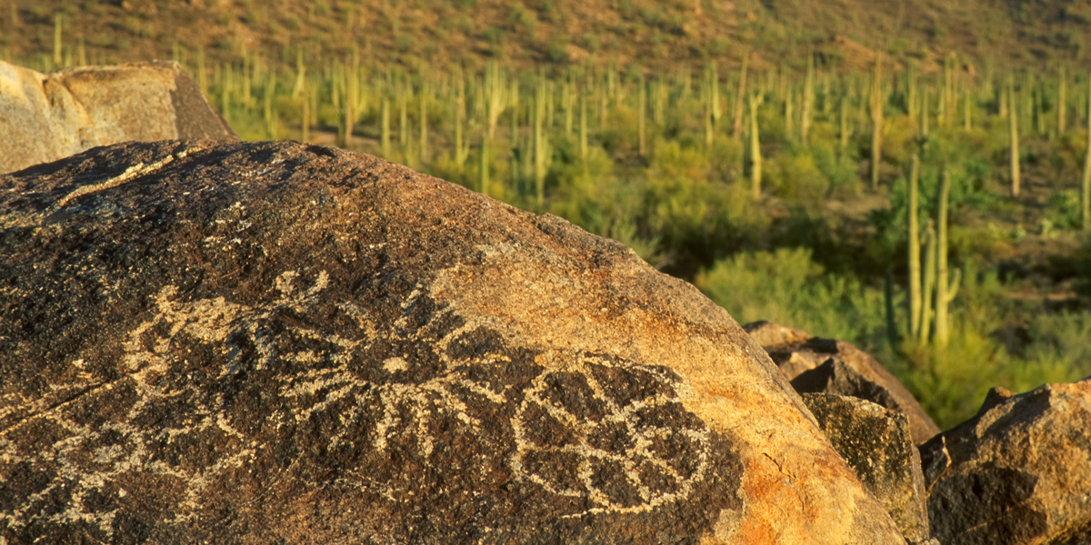 Top 10 Best Hiking Trails in Phoenix: Ultimate Guide for Outdoor Enthusiasts