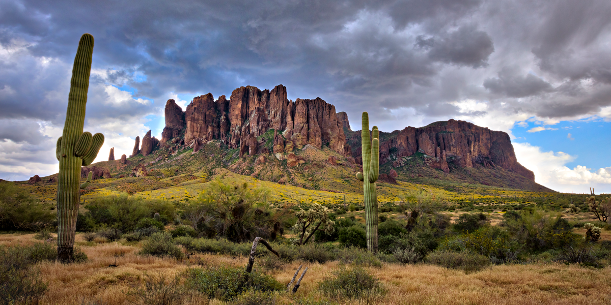 Top 10 Best Hiking Trails in Phoenix: Ultimate Guide for Outdoor Enthusiasts