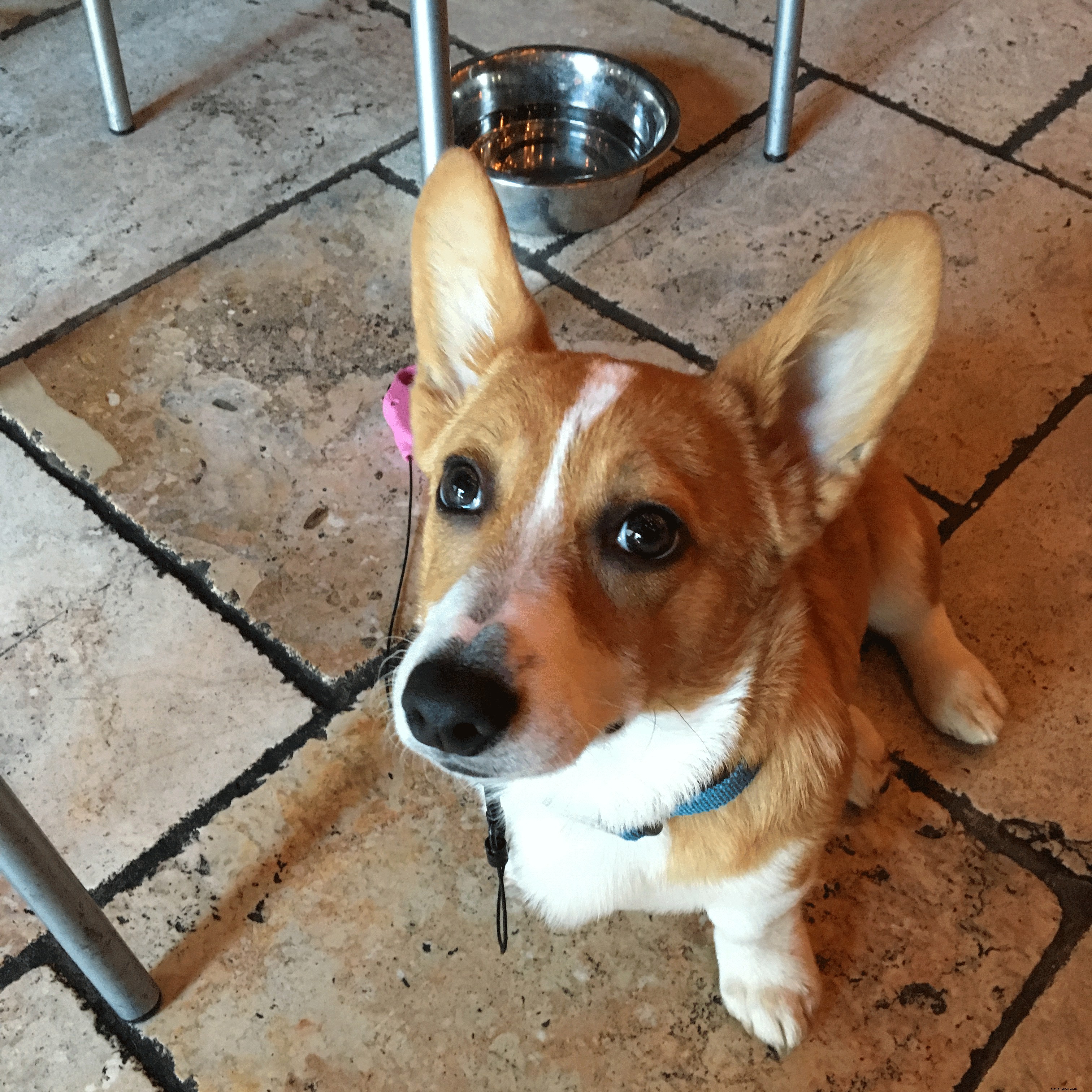 Top Craft Breweries in Fort Myers and Cape Coral: A Local s Guide