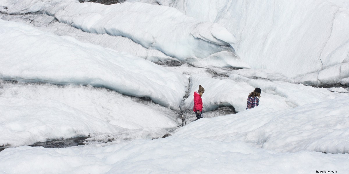 Top Photo-Worthy Adventures in Alaska: Glacier Treks, Wildlife, and Epic Views
