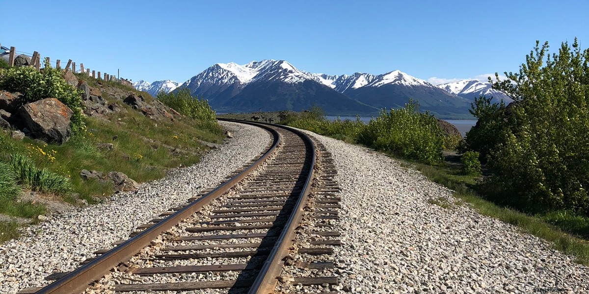 Top Photo-Worthy Adventures in Alaska: Glacier Treks, Wildlife, and Epic Views