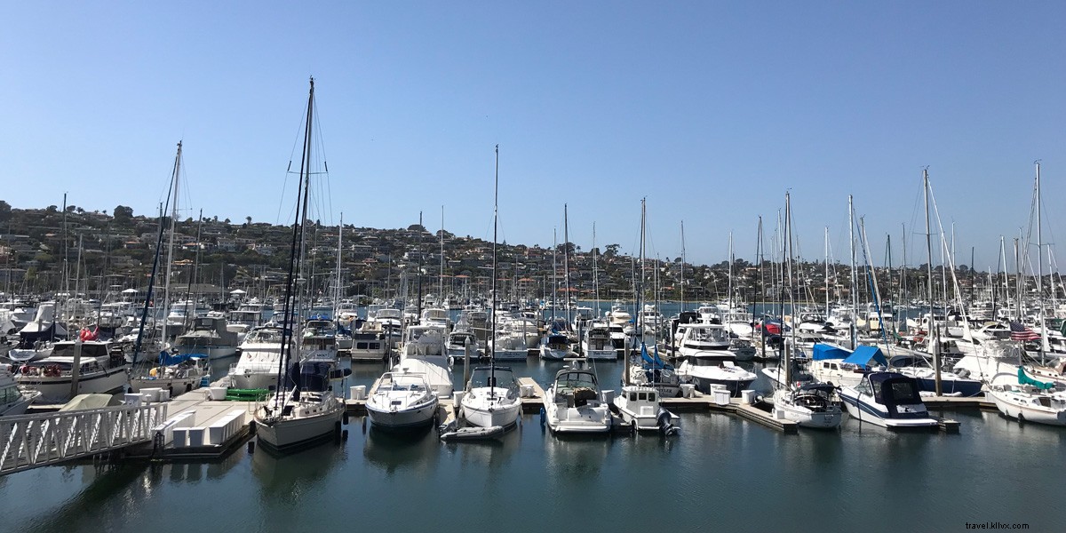 Top 4 Must-Do Activities for an Unforgettable Family Trip to San Diego