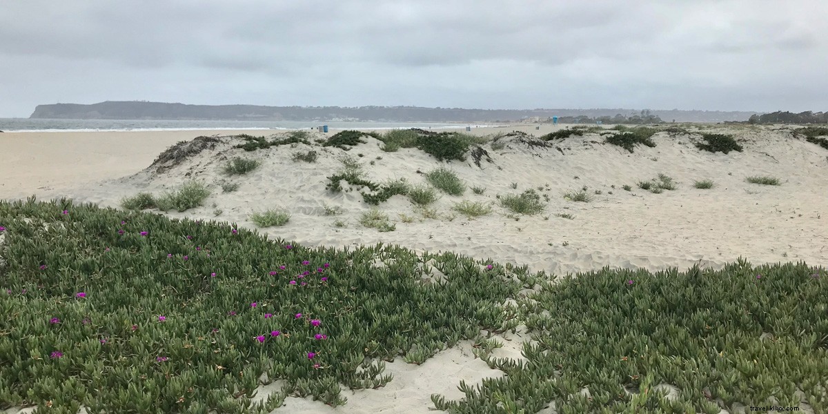 Top 4 Must-Do Activities for an Unforgettable Family Trip to San Diego