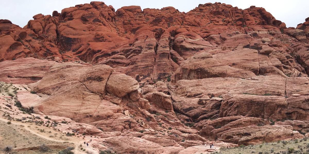 Top 5 Family-Friendly Activities in Las Vegas for an Unforgettable Trip