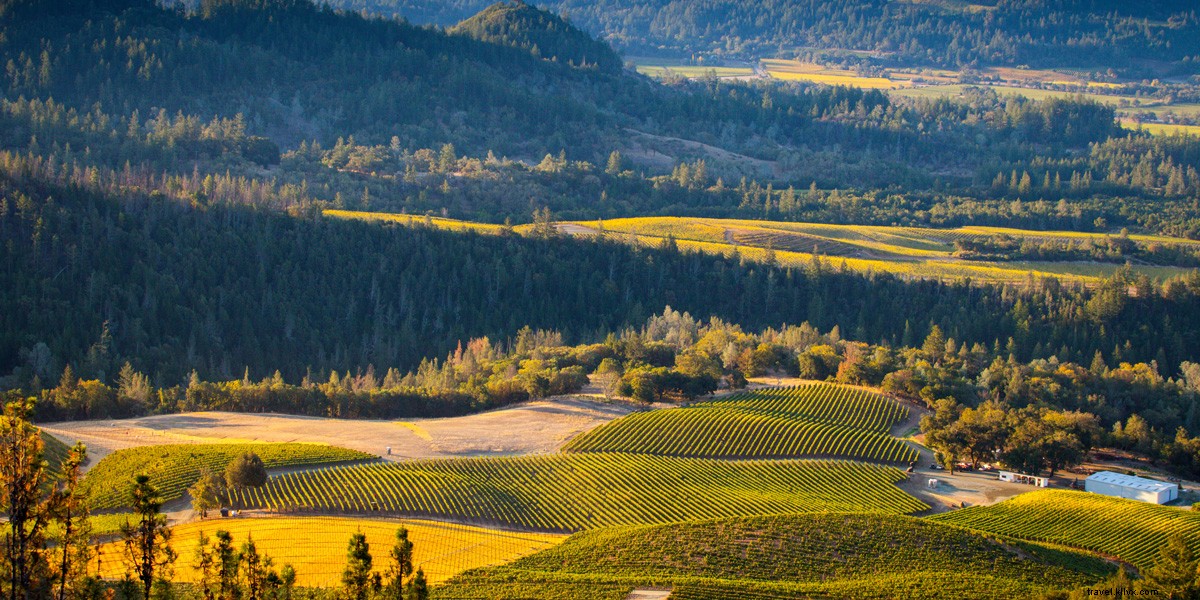 6 Exceptional Wine and Scenic View Pairings in Santa Rosa and Sonoma County