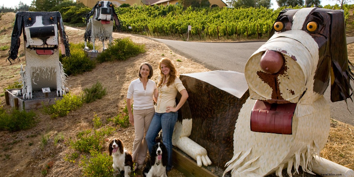 6 Exceptional Wine and Scenic View Pairings in Santa Rosa and Sonoma County