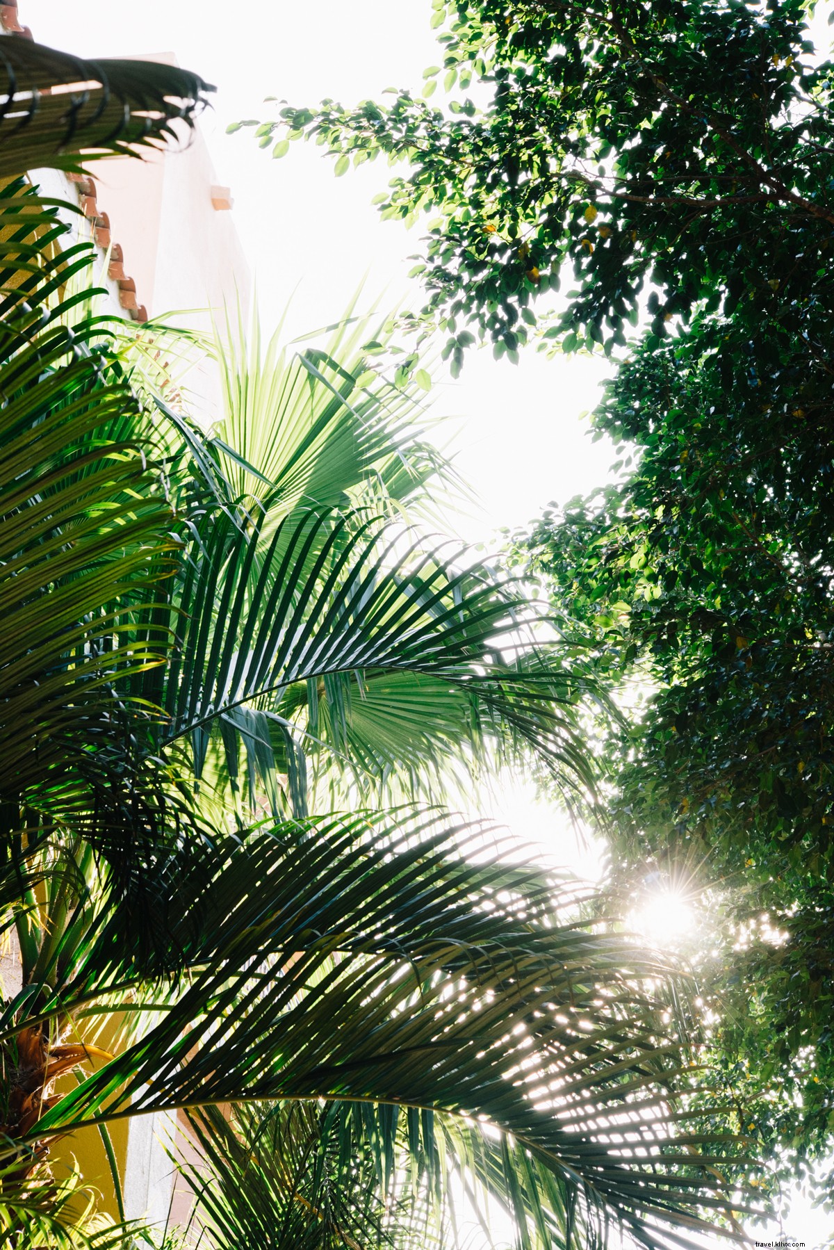 Roy Son s Top 10 Mazatlán Photos: Captivating Wanderlust from Our Sun Country Getaway