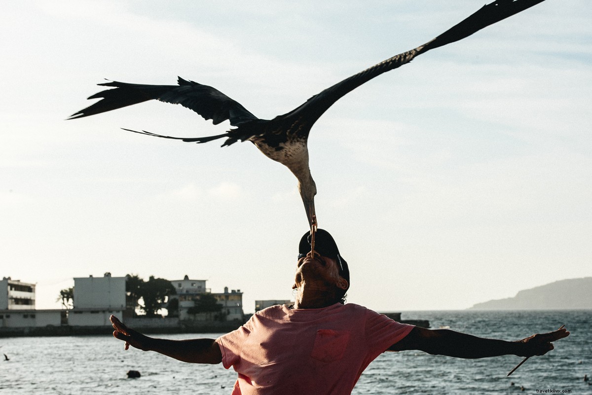 Roy Son s Top 10 Mazatlán Photos: Captivating Wanderlust from Our Sun Country Getaway