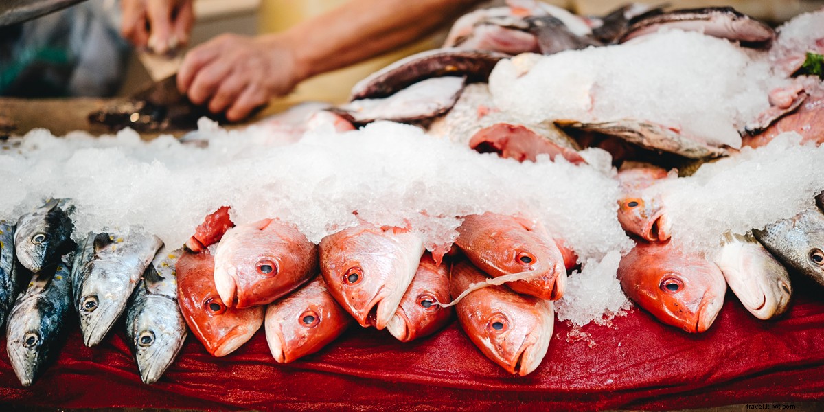 Roy Son s Top 10 Mazatlán Photos: Captivating Wanderlust from Our Sun Country Getaway