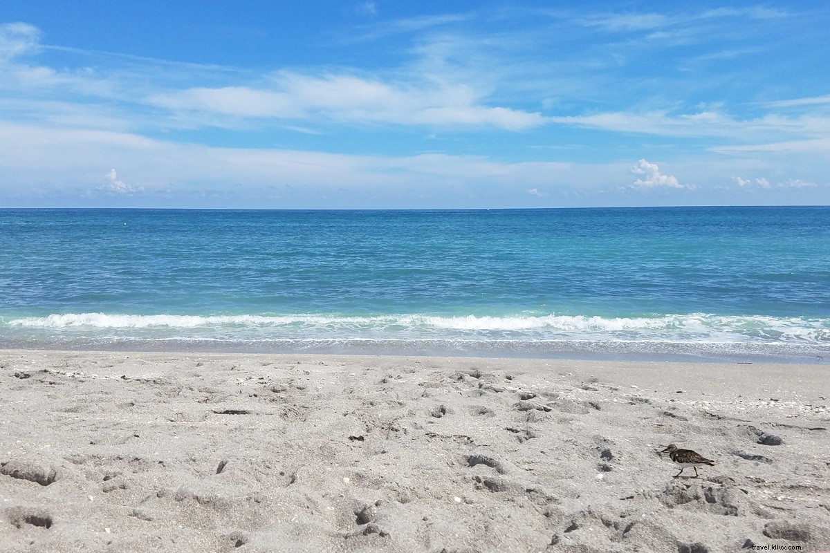 Best Beaches in Palm Beach County, Florida: Top Spots for Families, Snorkeling & Relaxation