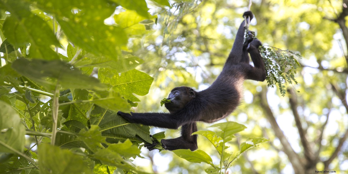 Essential Costa Rica Packing List: 10 Must-Haves from a Recent Traveler