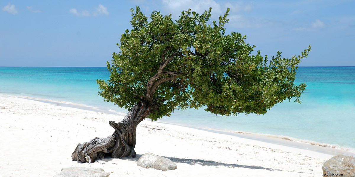 10 Compelling Reasons to Fall in Love with Aruba: The Ultimate Caribbean Gem