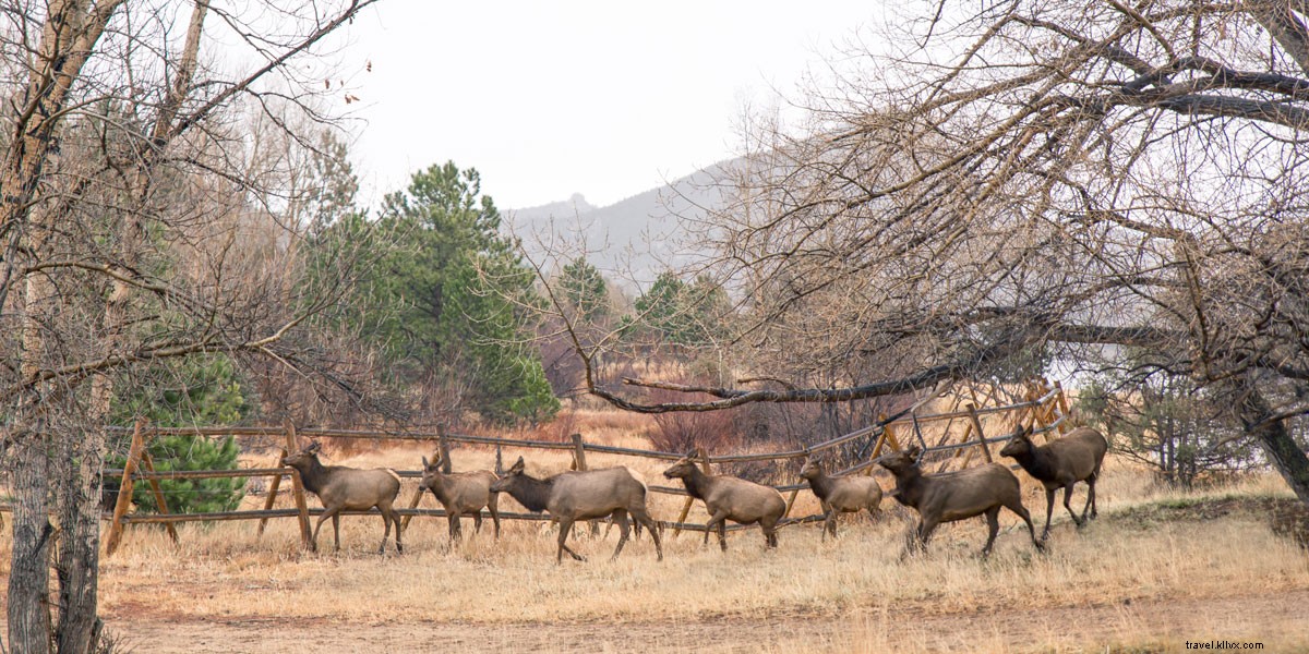 Jill Emmer s Photo Diary: Family Adventure to Denver with Sun Country Airlines
