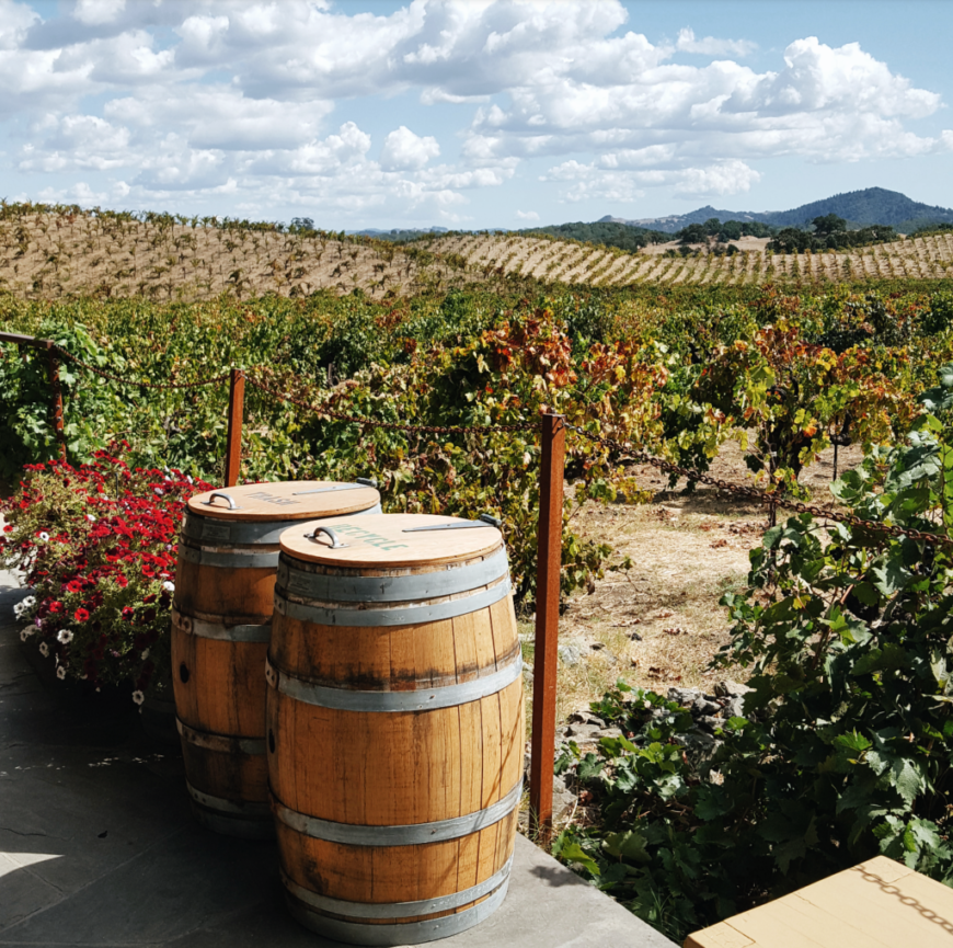 Your Ultimate Sonoma County Wine Country Guide: Insider Tips from Tamara Waterston