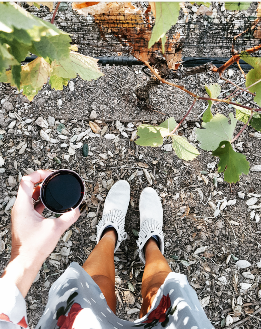 Your Ultimate Sonoma County Wine Country Guide: Insider Tips from Tamara Waterston