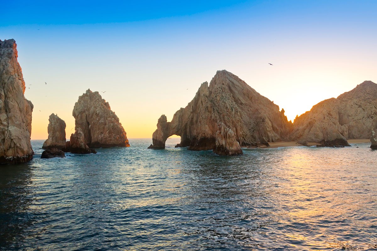 Top 5 Must-Do Activities in Los Cabos: Expert Guide to an Unforgettable Vacation