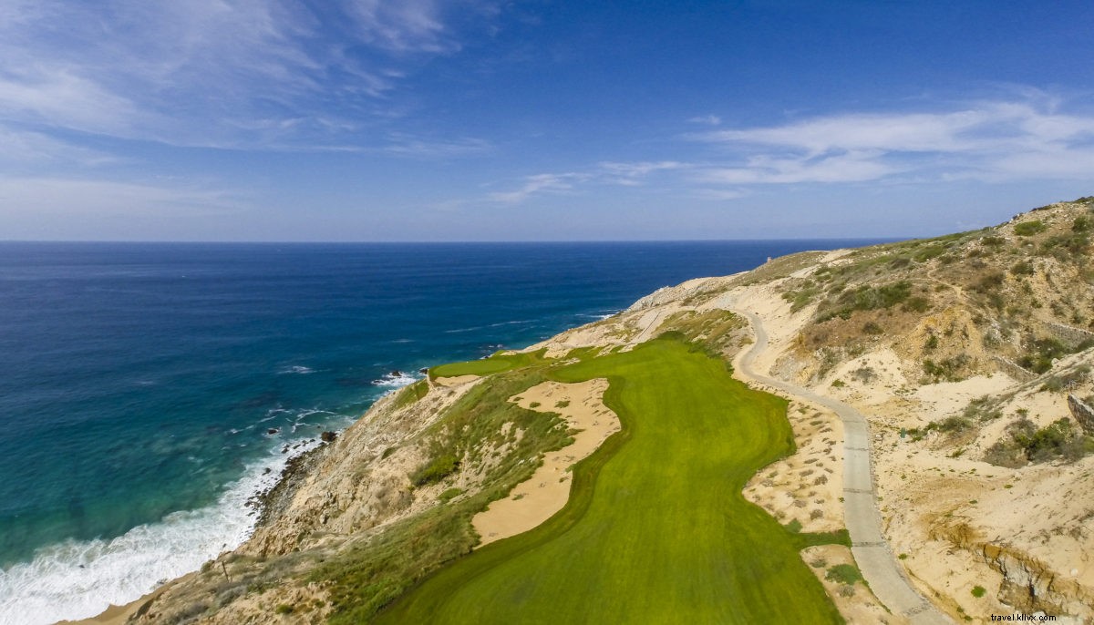 Top 5 Must-Do Activities in Los Cabos: Expert Guide to an Unforgettable Vacation