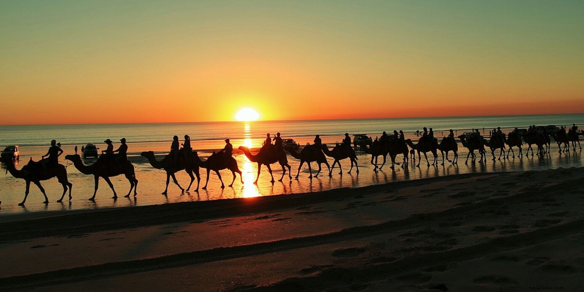 Top 5 Must-Do Activities in Los Cabos: Expert Guide to an Unforgettable Vacation