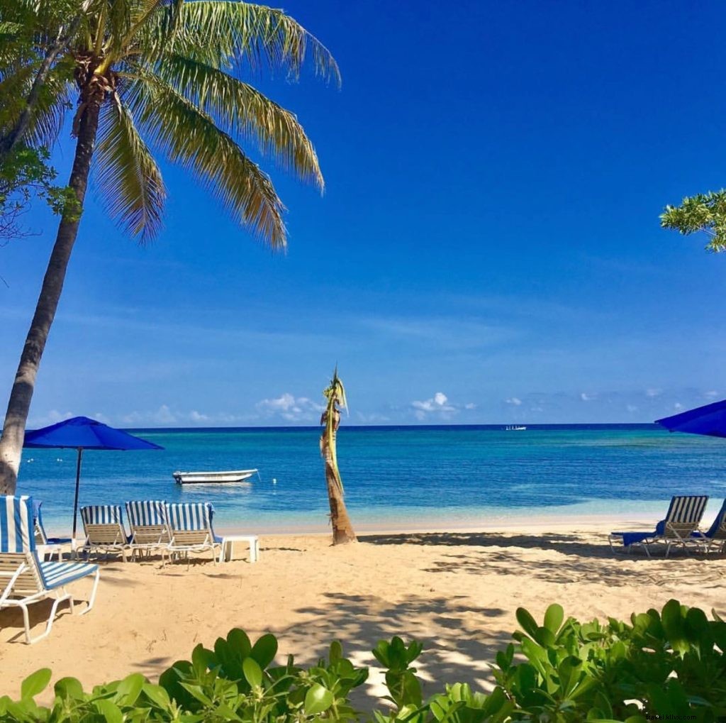 Top 10 Instagram-Worthy Spots in Montego Bay & Jamaica: This Week s Highlights