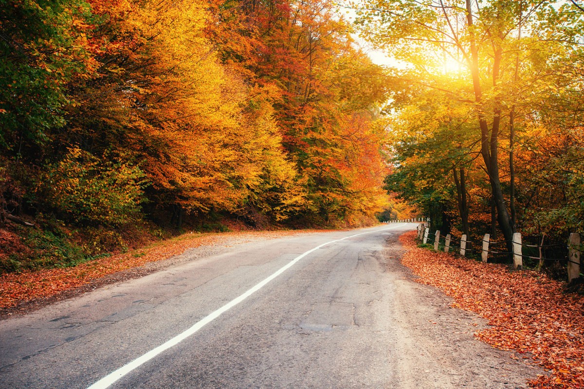Top 5 Scenic Fall Foliage Drives: Breathtaking Autumn Road Trips Across the US