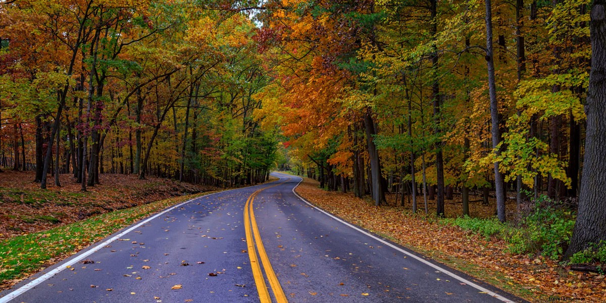 Top 5 Scenic Fall Foliage Drives: Breathtaking Autumn Road Trips Across the US