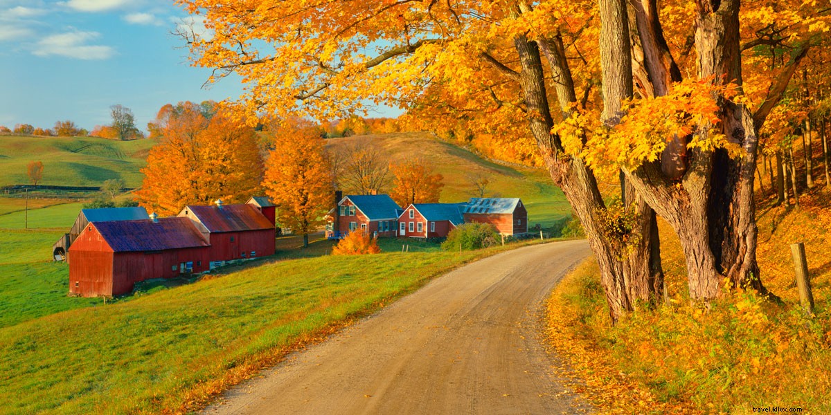 Top 5 Scenic Fall Foliage Drives: Breathtaking Autumn Road Trips Across the US