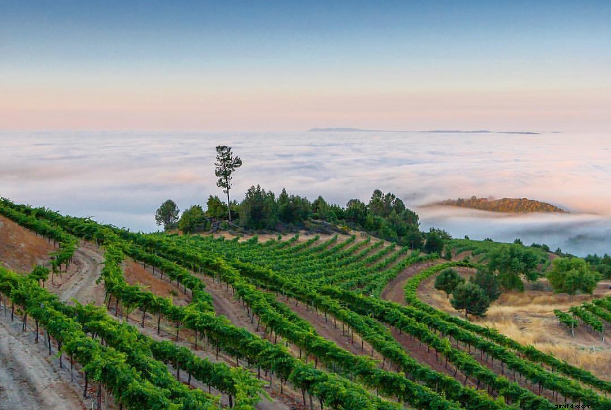 Top 10 Instagram Highlights: Santa Rosa & Sonoma County, California