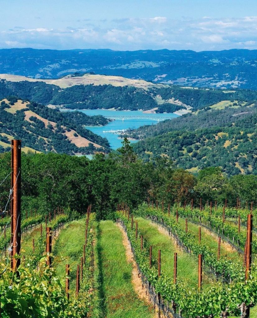 Top 10 Instagram Highlights: Santa Rosa & Sonoma County, California