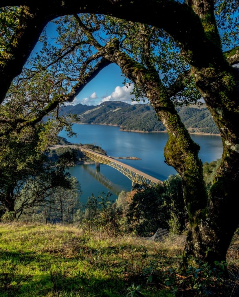 Top 10 Instagram Highlights: Santa Rosa & Sonoma County, California