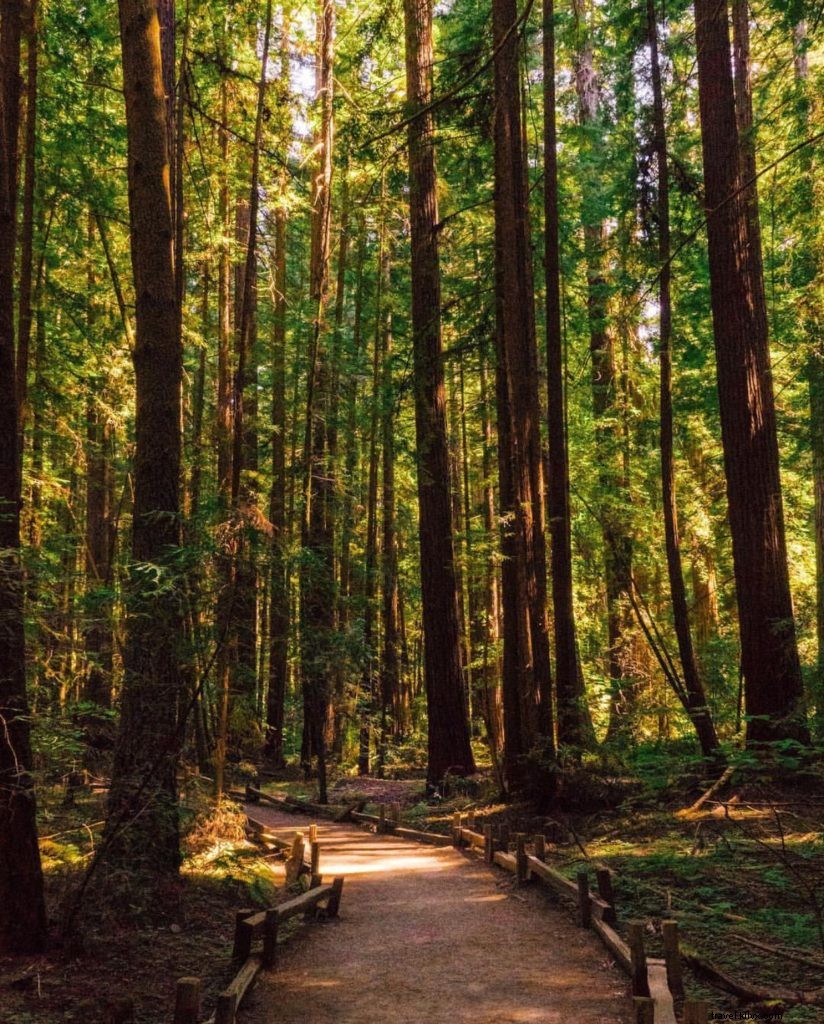 Top 10 Instagram Highlights: Santa Rosa & Sonoma County, California