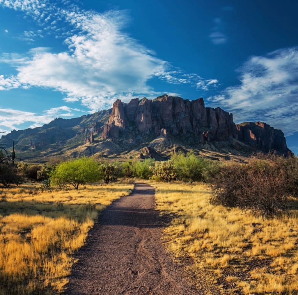 Top 10 Instagram Highlights: Phoenix, Arizona s Must-See Gems This Week