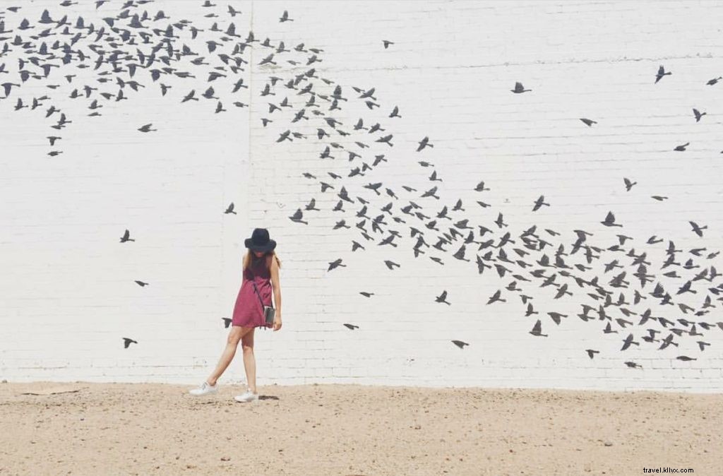 Top 10 Instagram Highlights: Phoenix, Arizona s Must-See Gems This Week