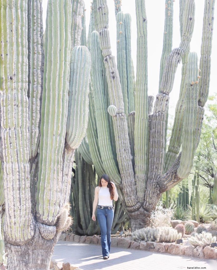 Top 10 Instagram Highlights: Phoenix, Arizona s Must-See Gems This Week