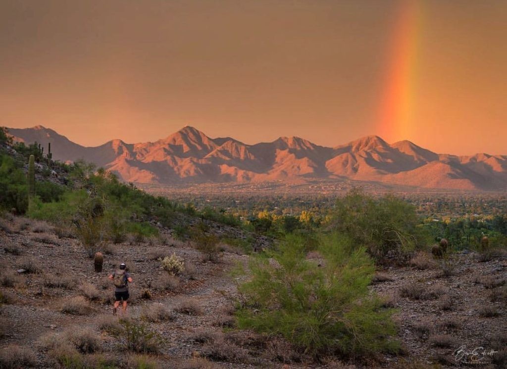 Top 10 Instagram Highlights: Phoenix, Arizona s Must-See Gems This Week