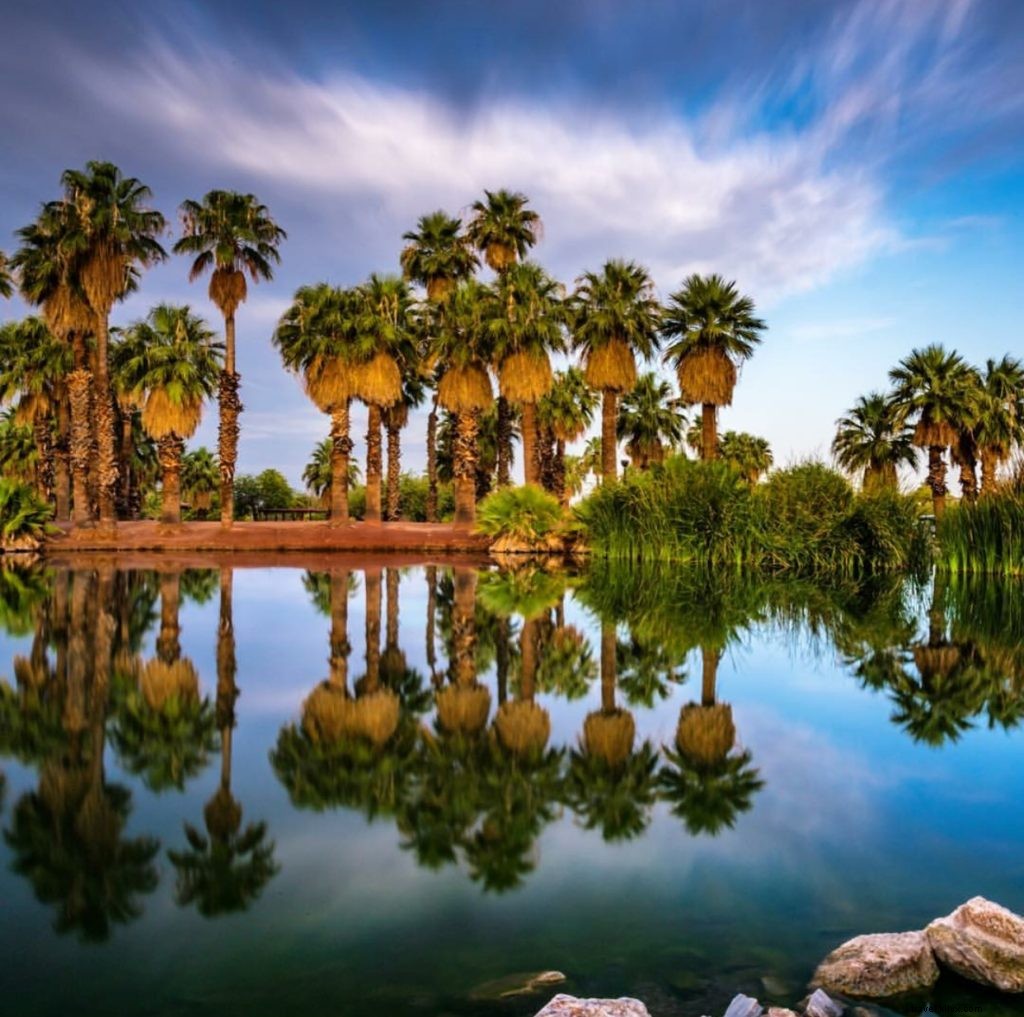 Top 10 Instagram Highlights: Phoenix, Arizona s Must-See Gems This Week