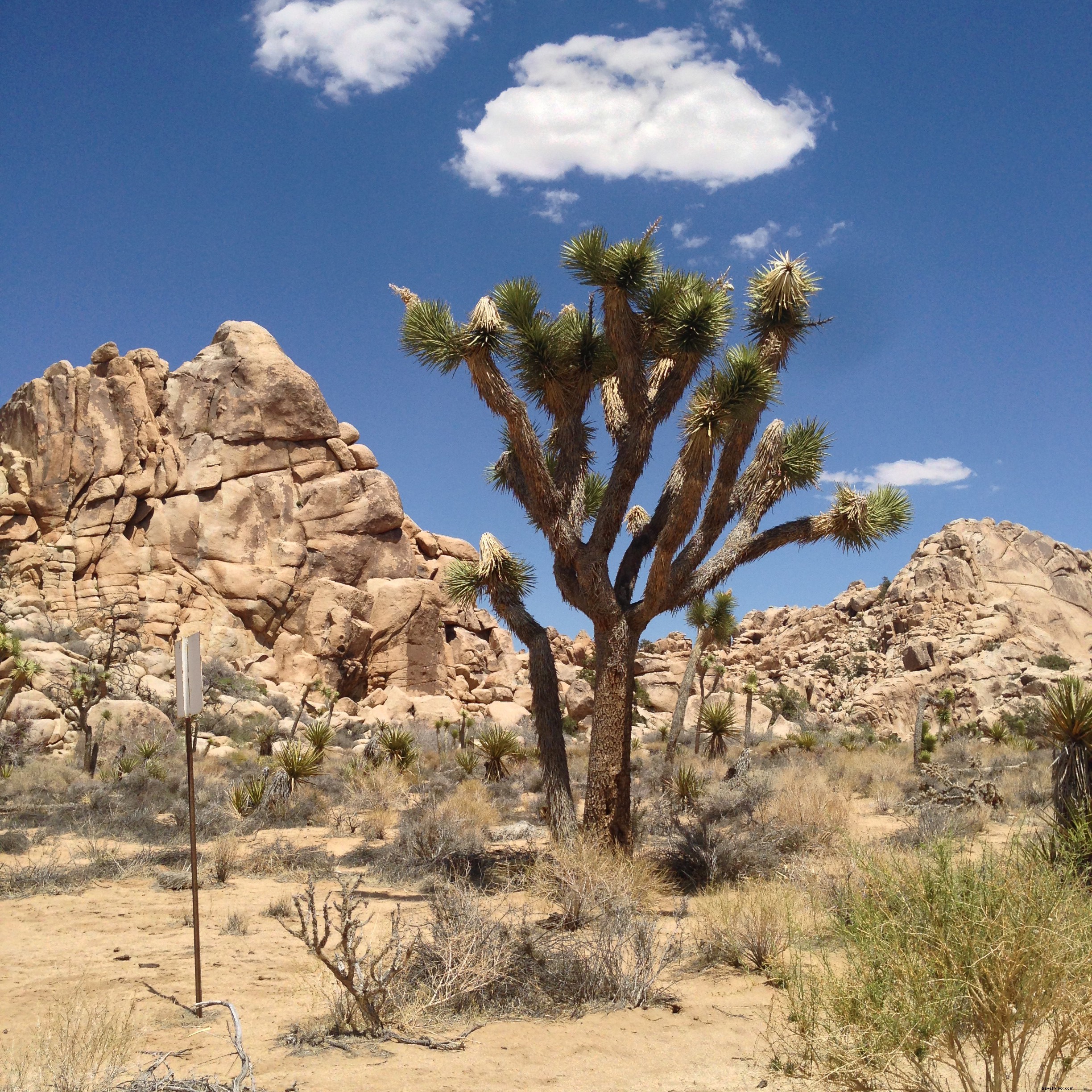 Palm Springs Poolside Long Weekend Itinerary: Ultimate Relaxation Guide