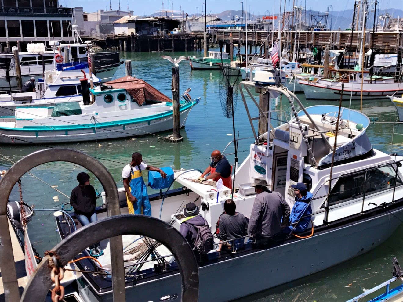 24 Hours in San Francisco: The Ultimate Itinerary for the Golden City