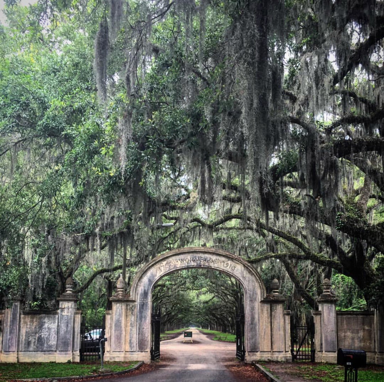 Top 10 Instagram-Worthy Highlights in Savannah, Georgia: Our Weekly Roundup