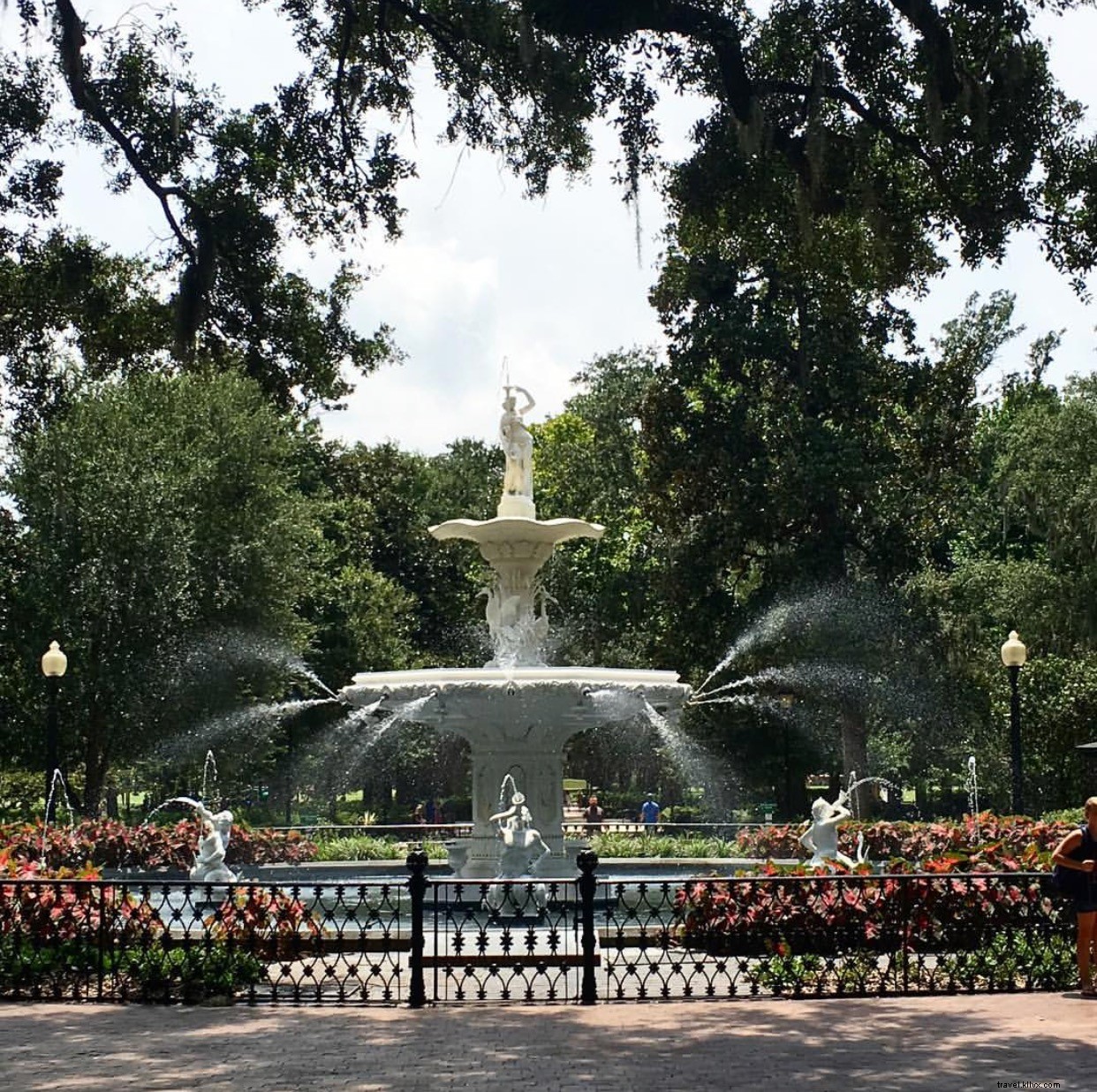 Top 10 Instagram-Worthy Highlights in Savannah, Georgia: Our Weekly Roundup