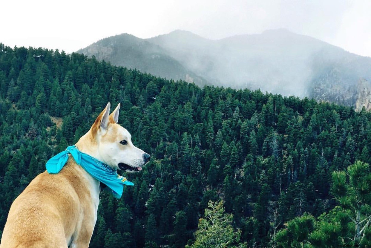 Denver, Colorado: Top 10 Instagram Highlights from Our Weekly Roundup