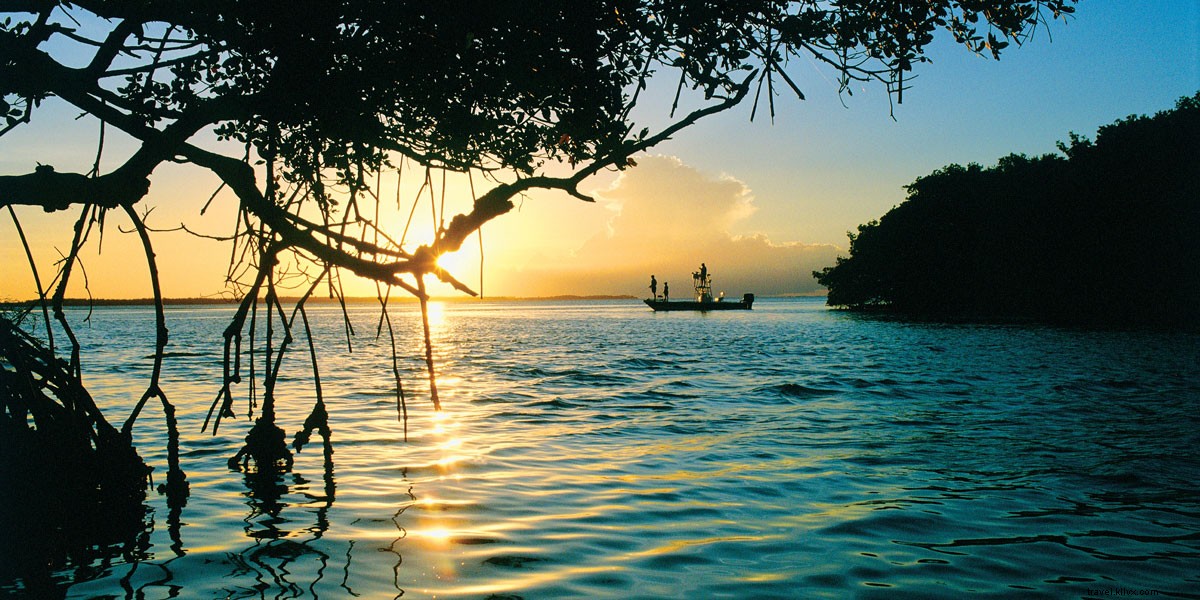 5 Reasons Florida Stays Cool and Enjoyable in Summer: Beaches, Parks & Unique Adventures