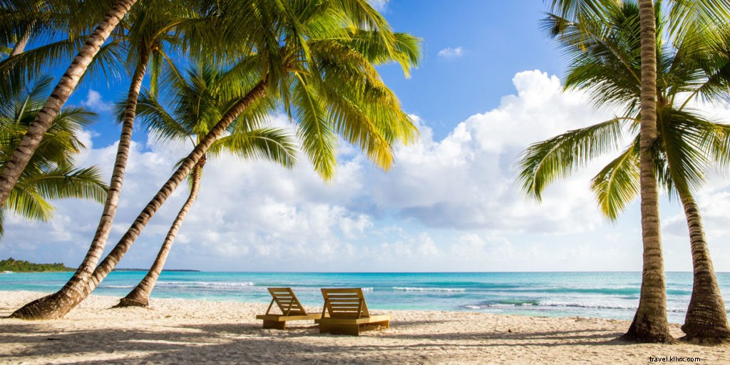 Top 3 Must-Do Excursions in Punta Cana: Saona Island, Buggy Adventure & Zipline Thrill