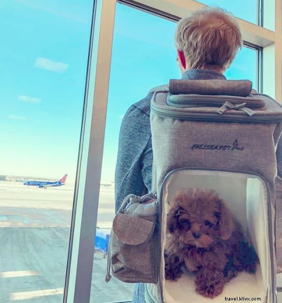 Breathtaking Sky Views: Top 10 January #SCASkyView Moments from Sun Country Travelers