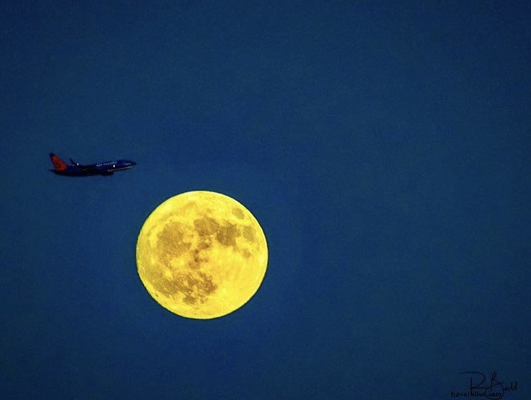 Breathtaking Aerial Wonders: Our Top 10 Favorite December #SCASkyView Moments