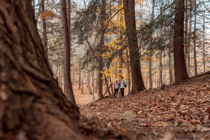 Top 10 Campsites and Glampsites in West Virginia: Scenic Outdoor Havens