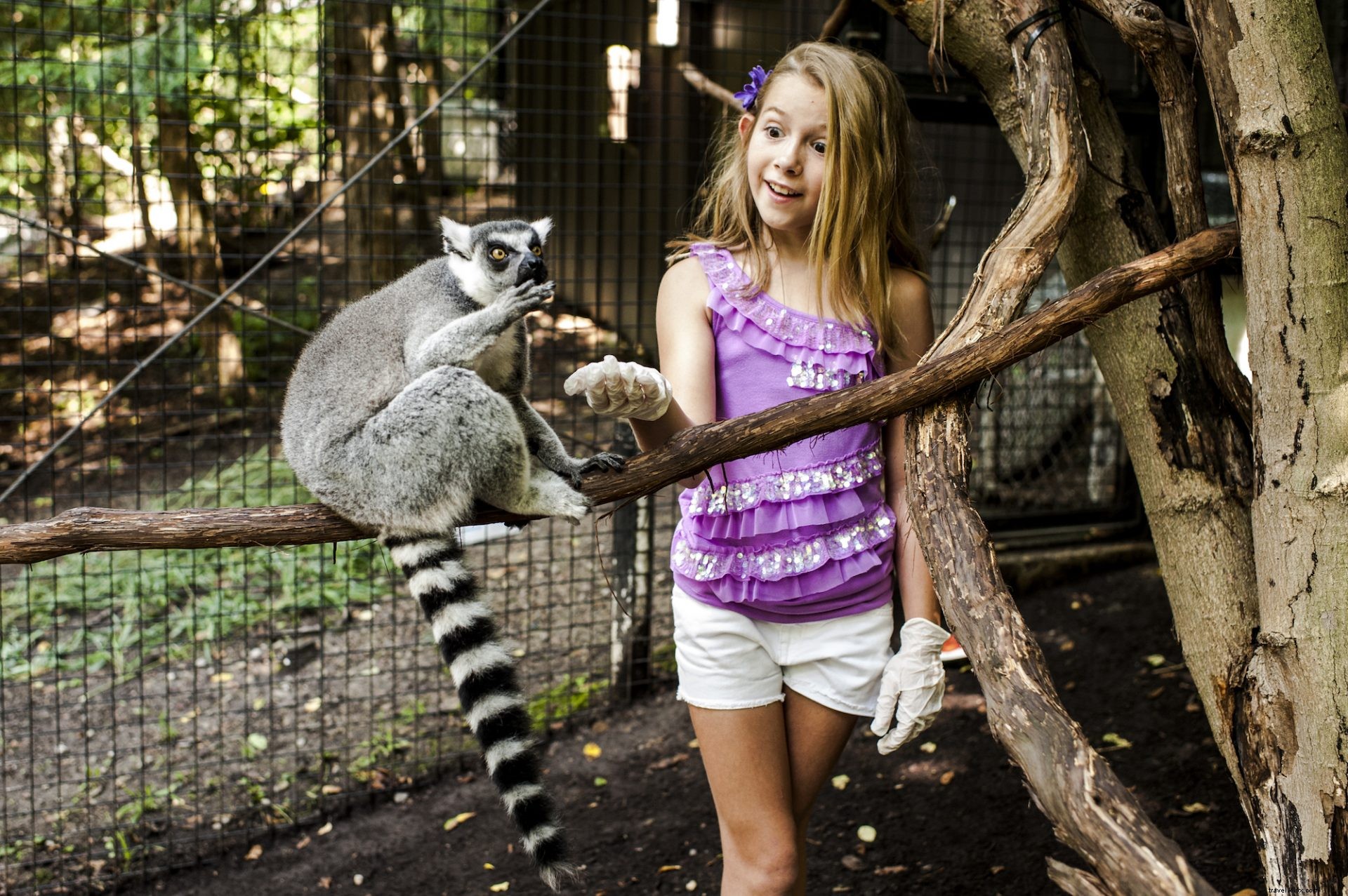 Almost Heaven After Dark: Spooky Nighttime Adventures in West Virginia