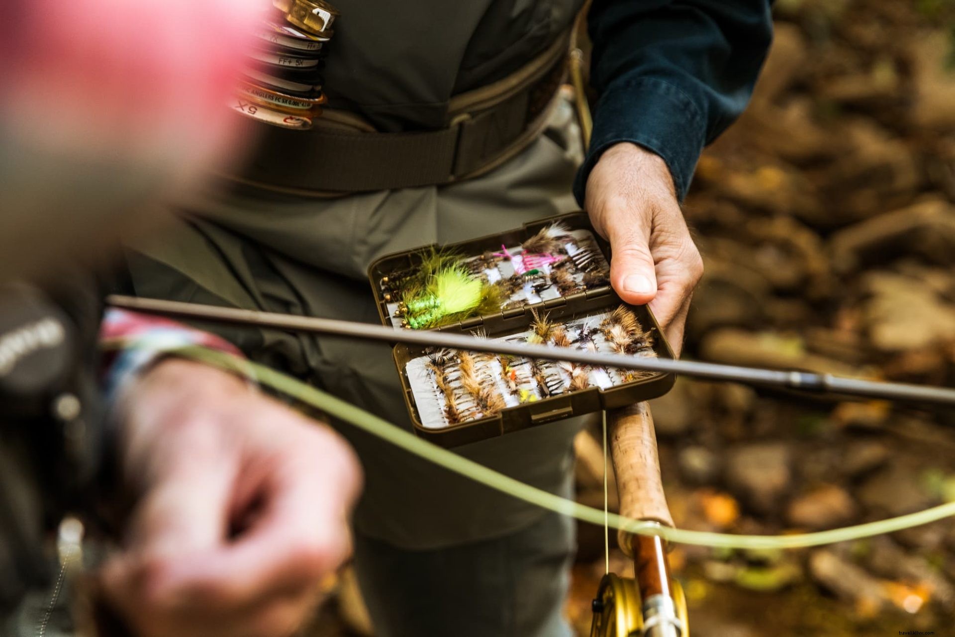 8 Epic Fall Adventure Spots in Almost Heaven, West Virginia