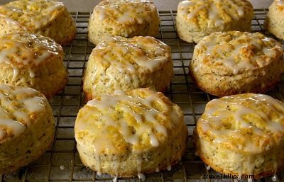 Ultimate West Virginia Fall Bucket List: Adventures, Stays & Seasonal Delights