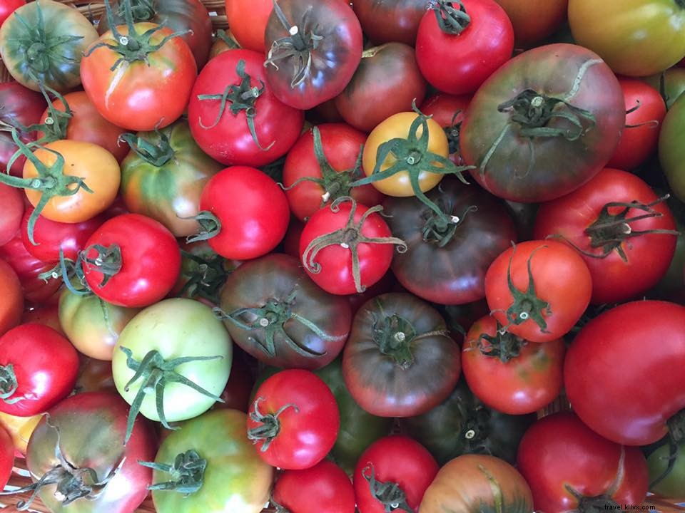 Ultimate West Virginia Fall Bucket List: Adventures, Stays & Seasonal Delights