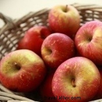 West Virginia Farm-to-Table Road Trip: A Food Lover s Itinerary Through Fresh Flavors